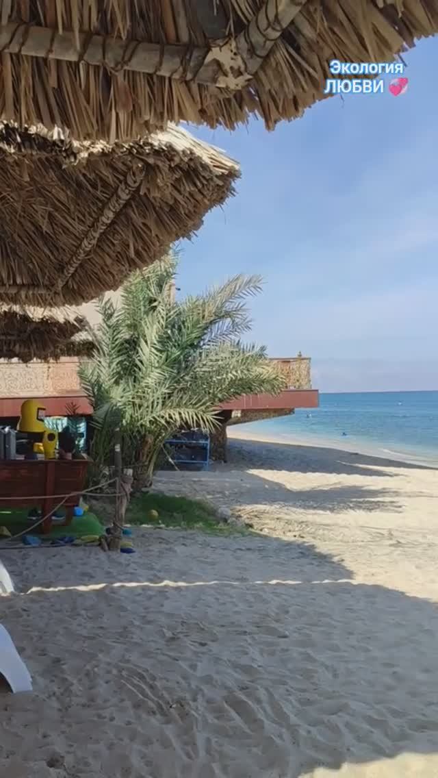 ОАЭ, Фуджера. Индийский Океан❤#fujairah, #uae , #travel, #indianocean