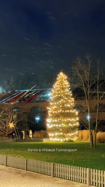 Каток в Новой Голландии ⛸⛄️