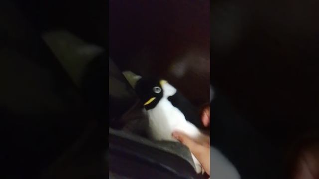 игрушки 2 серия