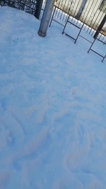 факты о охотниках на хлебожуев и грибожуев.