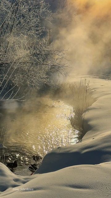 Крещенские морозы - сибирская зима 💙