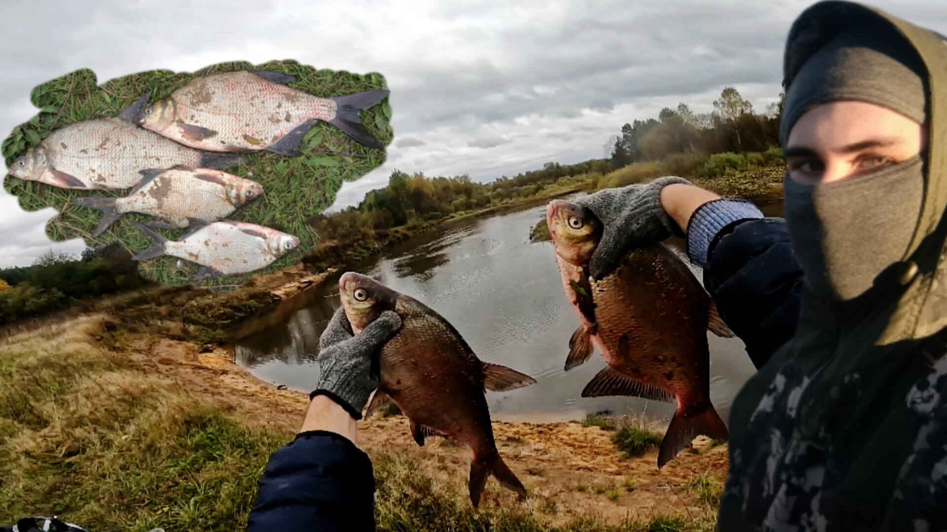 066819089c032a4335a4f4f034d11119