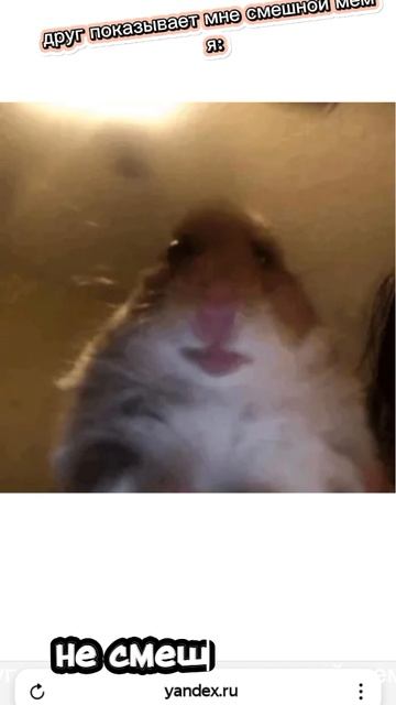 1000038672.mp4