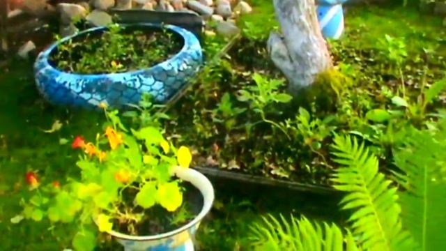 6d0cf82ac92eacd045999135f65ec4b5