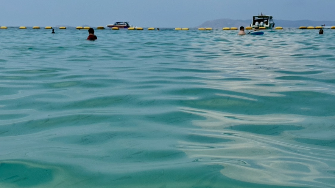 B5d6657511aa41f1defcd917780516ee