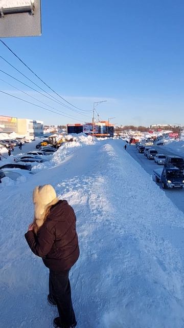 Камчатка,  Петропавловск-Камчатский,  17 января 2026 г., день после пурга. 8 км.