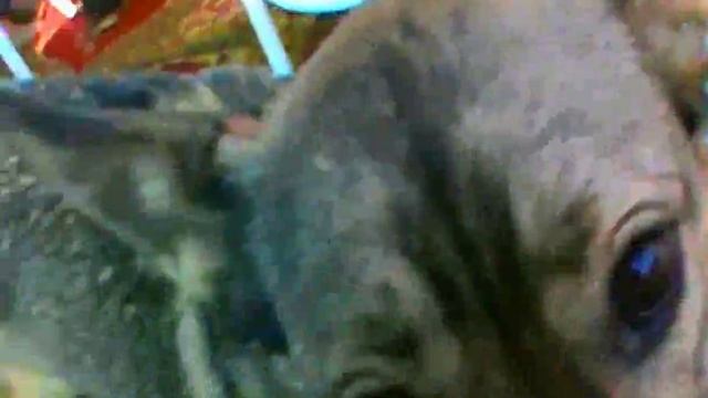 83272146710f76a21675e817ddecd968