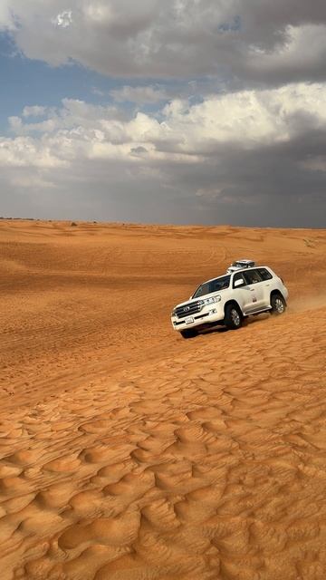 Пустыня, крузаки