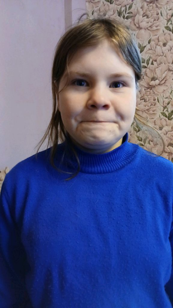 Гусь и странная девочка (фильм)