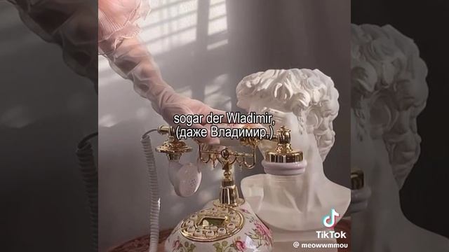 имена Соня и Владимир