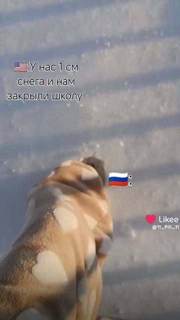 🍊🎄Полинчик🐍🍊