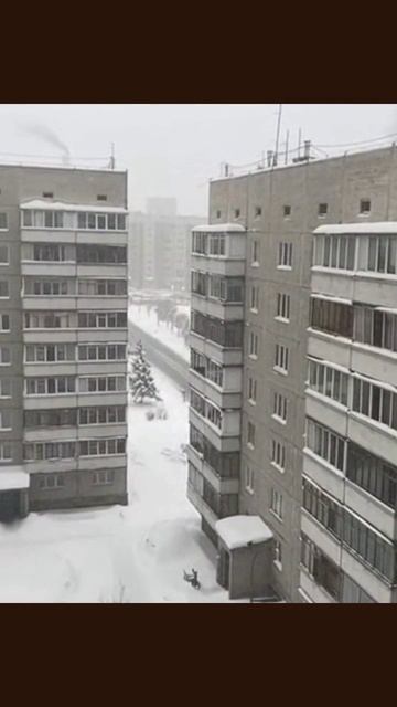 #камчатка2026#снегопад #природа #путешествиепоРоссии #пейзажи #зима #север