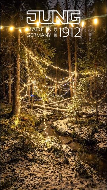 Новогодняя подсветка леса