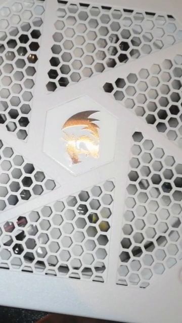 вид сзади бп