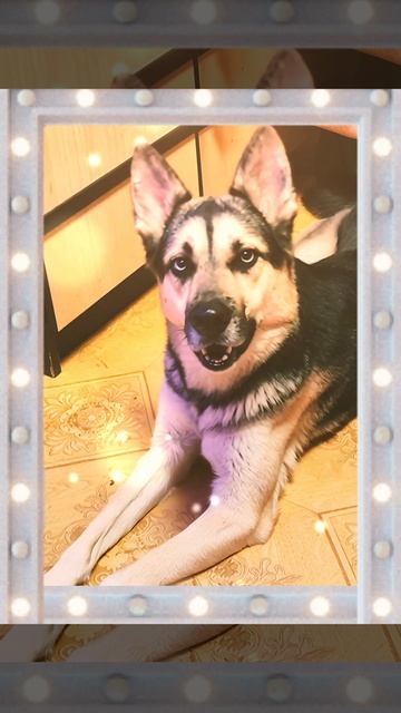 Кончился новый год