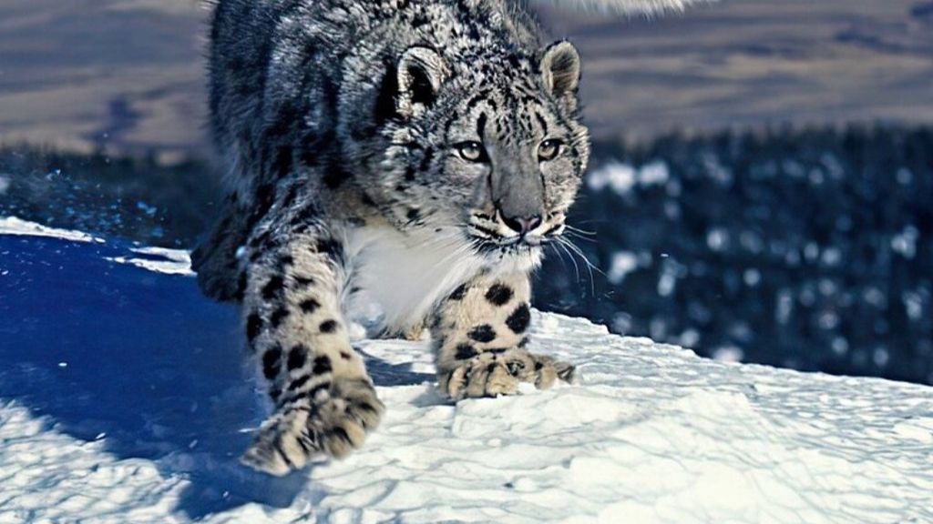 хочется спать , но останавливаться нельзя