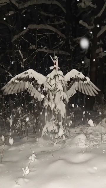 Рассматривала ночные деревья. И вот что я увидела! Тайны лукинского леса! Кавер Маленькой елочке.