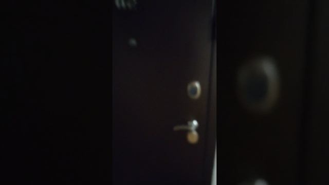 VID_20260121_174136