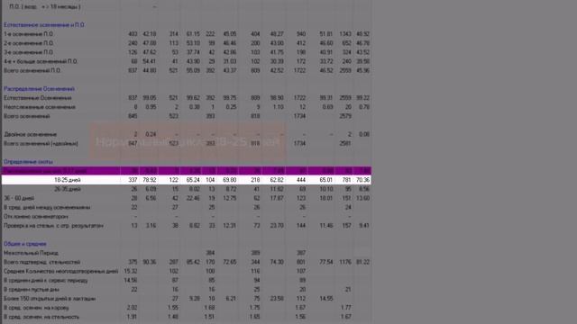 Fertility Report Part 3_Russian