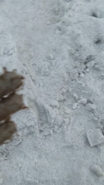 36a68cdb48888bfaa189873a1ee49ff7