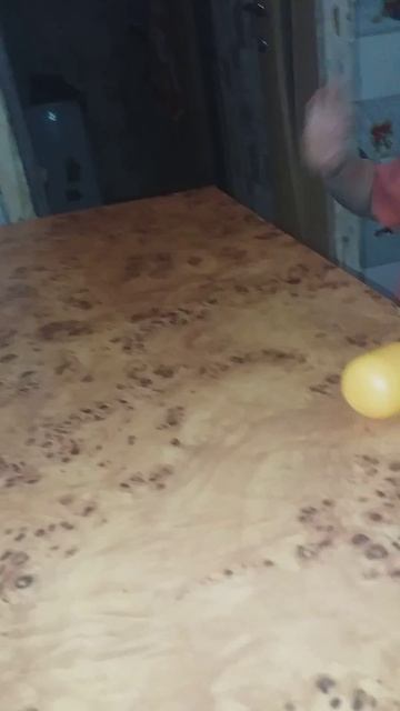 507f34f8-18f6-4e91-ba2a-07866c7466ee-1_all_5283.mp4