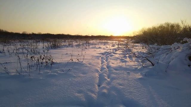 Нам мороз не почём