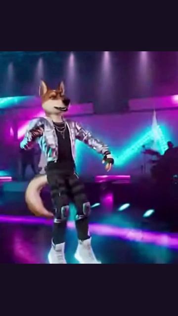 #пес #развлечение #певец #милота #собакапоет #ярусский