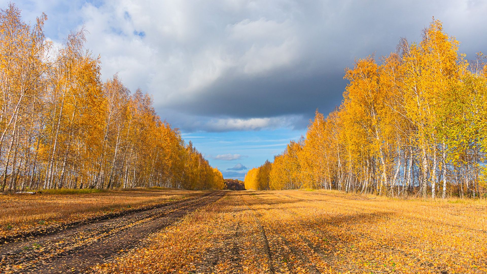 LATE AUTUMN