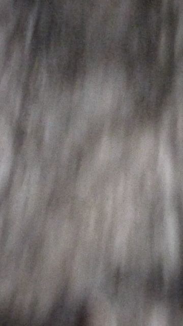 D6c8796f3154a8c22ad675eb77bc52be