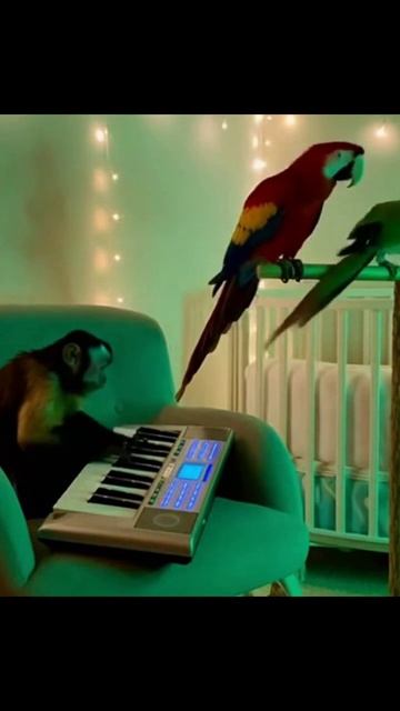 #юмор #прикол #сатира #чёрныйюмор #веселье