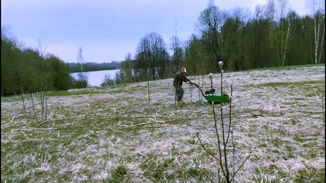 25 TC-1000 мульчировщик вездекос 2022 г