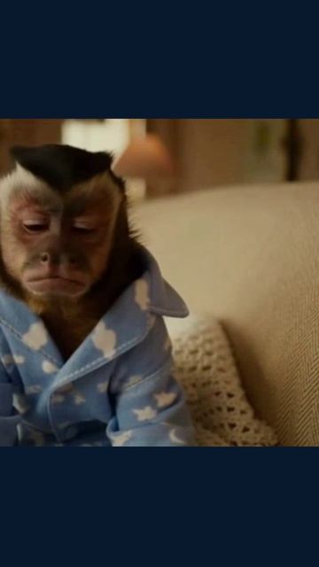 #говорящиемартышки #юмор #комедия #забавныемартышки #юмористическоевидео