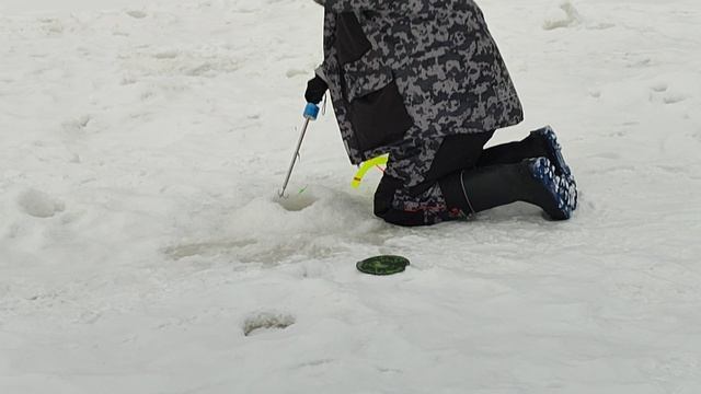 308a66cfe30f049abf1594b9a077e378