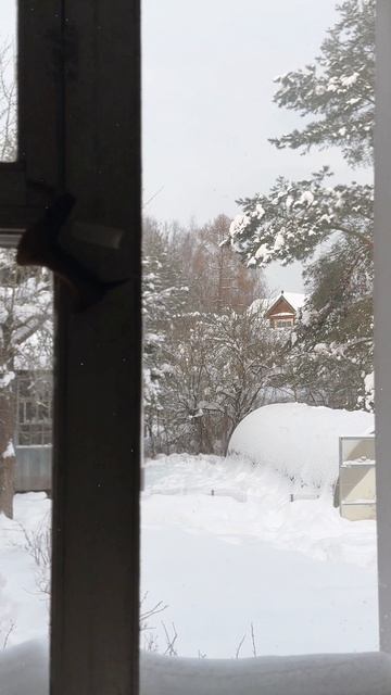 Капустный пирог 🥟