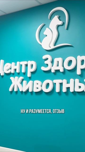 Центр здоровья животных в городе Сочи