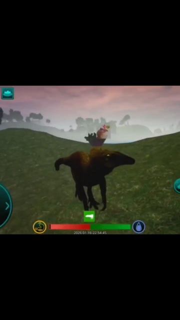 Будни Лето в TCDI