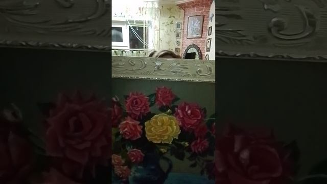 B6ede36e970a78dd2dcfc29d80e226d5