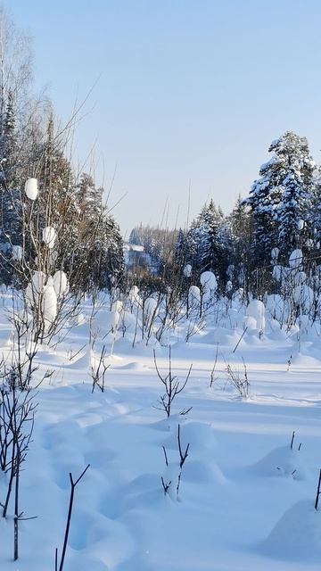 МОРОЗ И СОЛНЦЕ