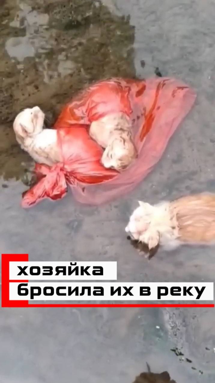 245dc7f89f37cad363aca9e07270f9fe