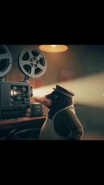 #животные #кроты #природа #фауна #животныемира