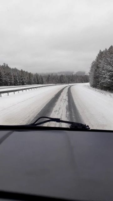 дрожит душа