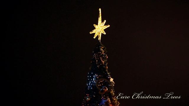 Ель_световая_Тамбов_СССР