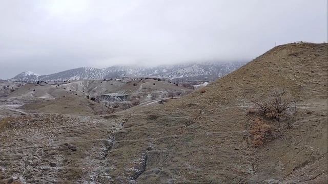 Миндальное,  Чебрецовая