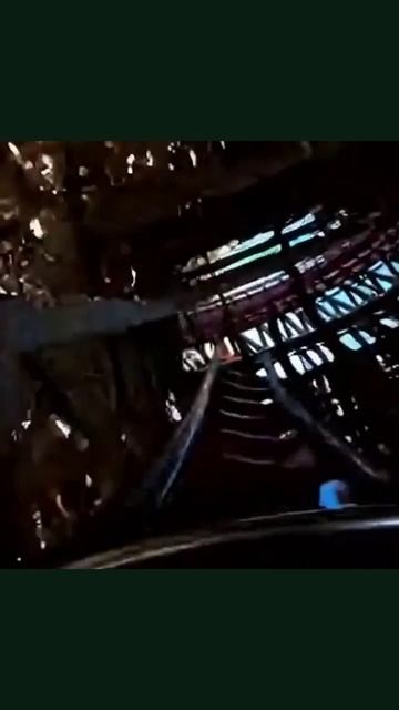 Американские горки #экстремальныеразвлечения #летнийотдых #путешествия #эмоции