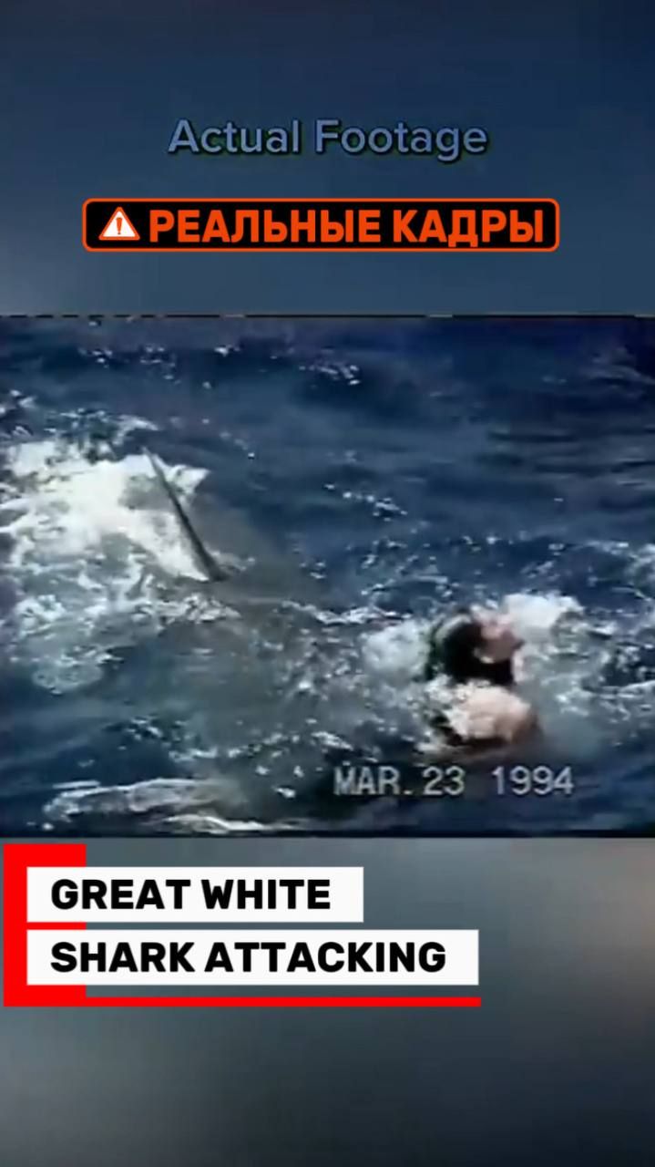 23ed3133140f3438fcb3ed98923338f2