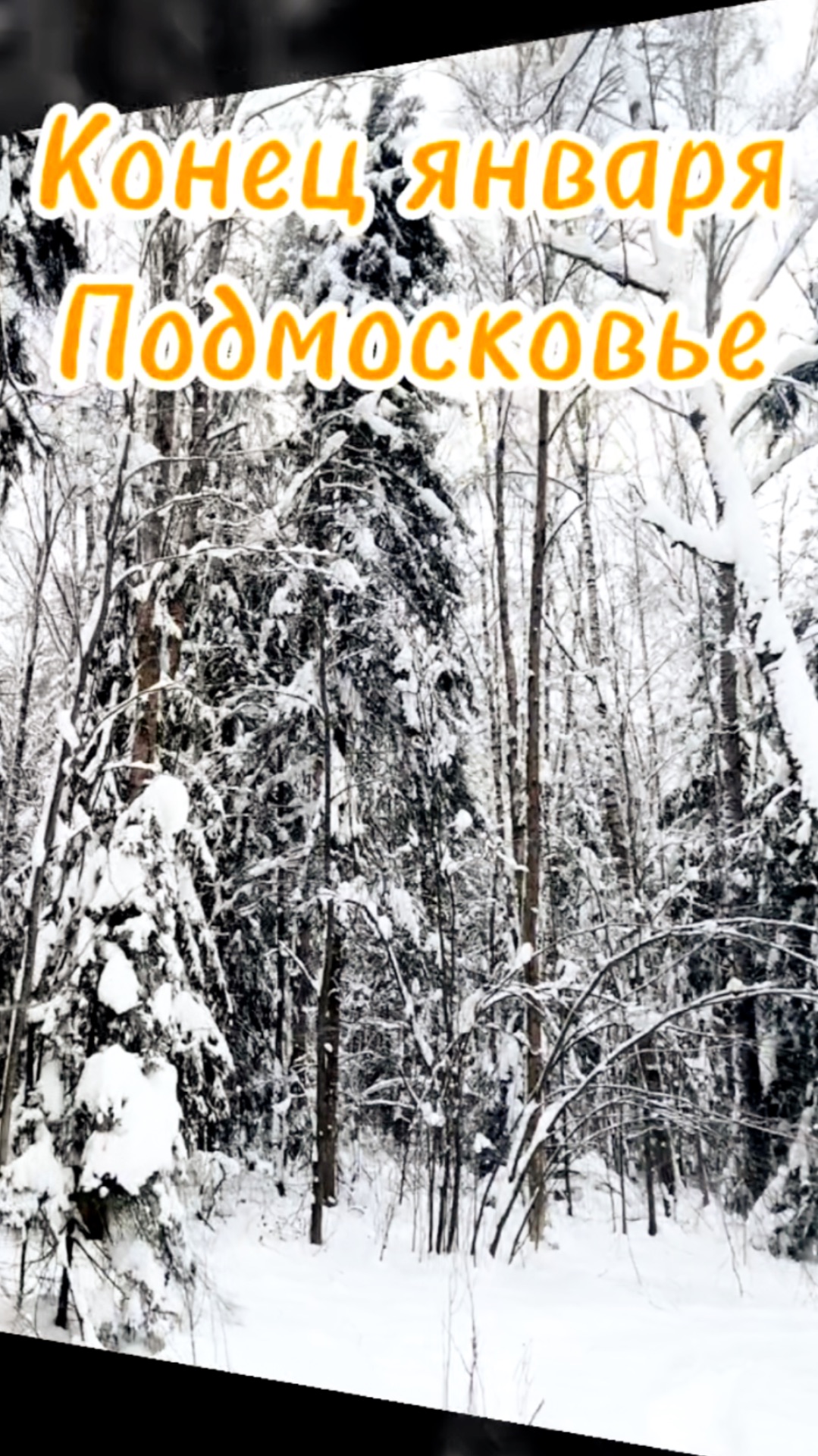 Конец января Подмосковье Краснодарский край