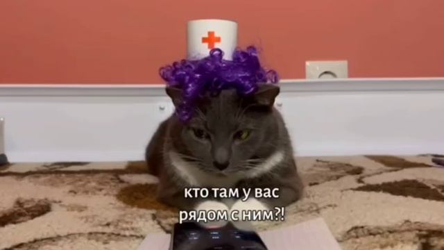 Kotiynet 3 серия 1 сезон. Охранник хаги ваги.