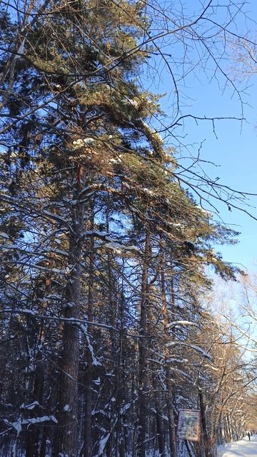 Утро субботы