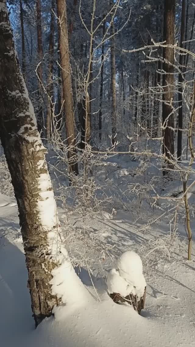 Январское золото Крайнего Севера. Продолжение...
