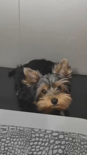 84c4ae66a9fe32b782e2179191309071